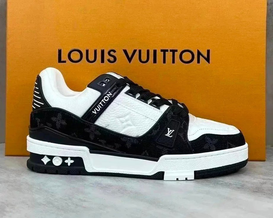 Louis vuitton skate sneakers LV Trainer Shoes                                