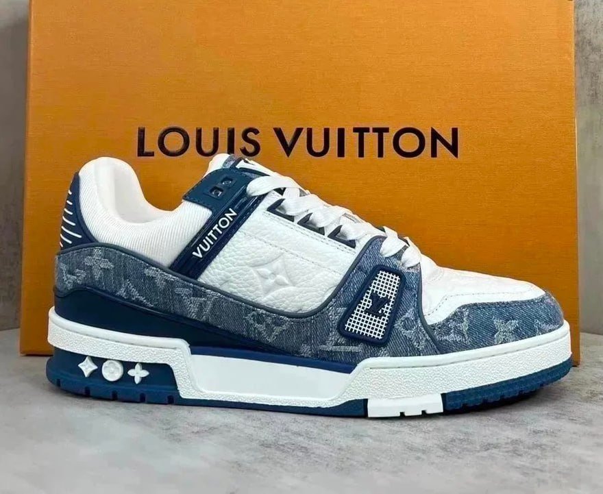 Louis vuitton skate sneakers LV Trainer Shoes                                