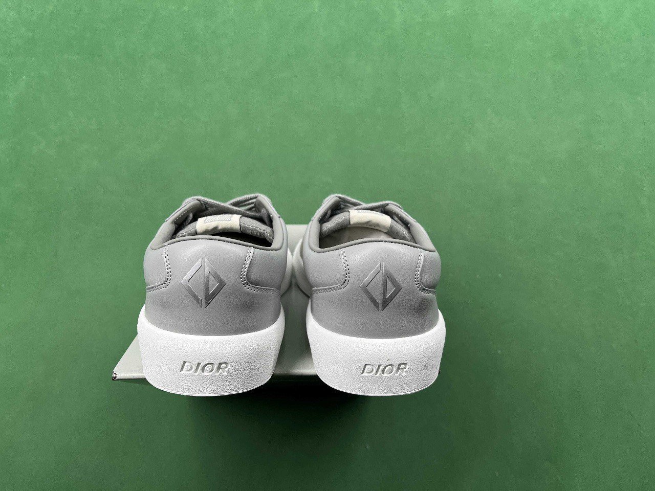 Dior B101 shoes