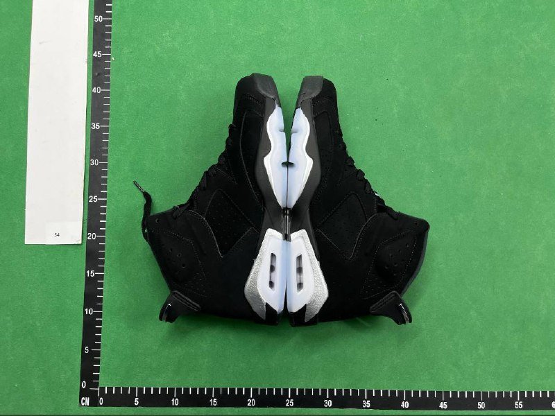 Air jordan 6 shoes