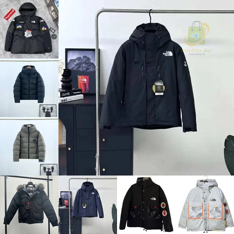 the north face down jacket