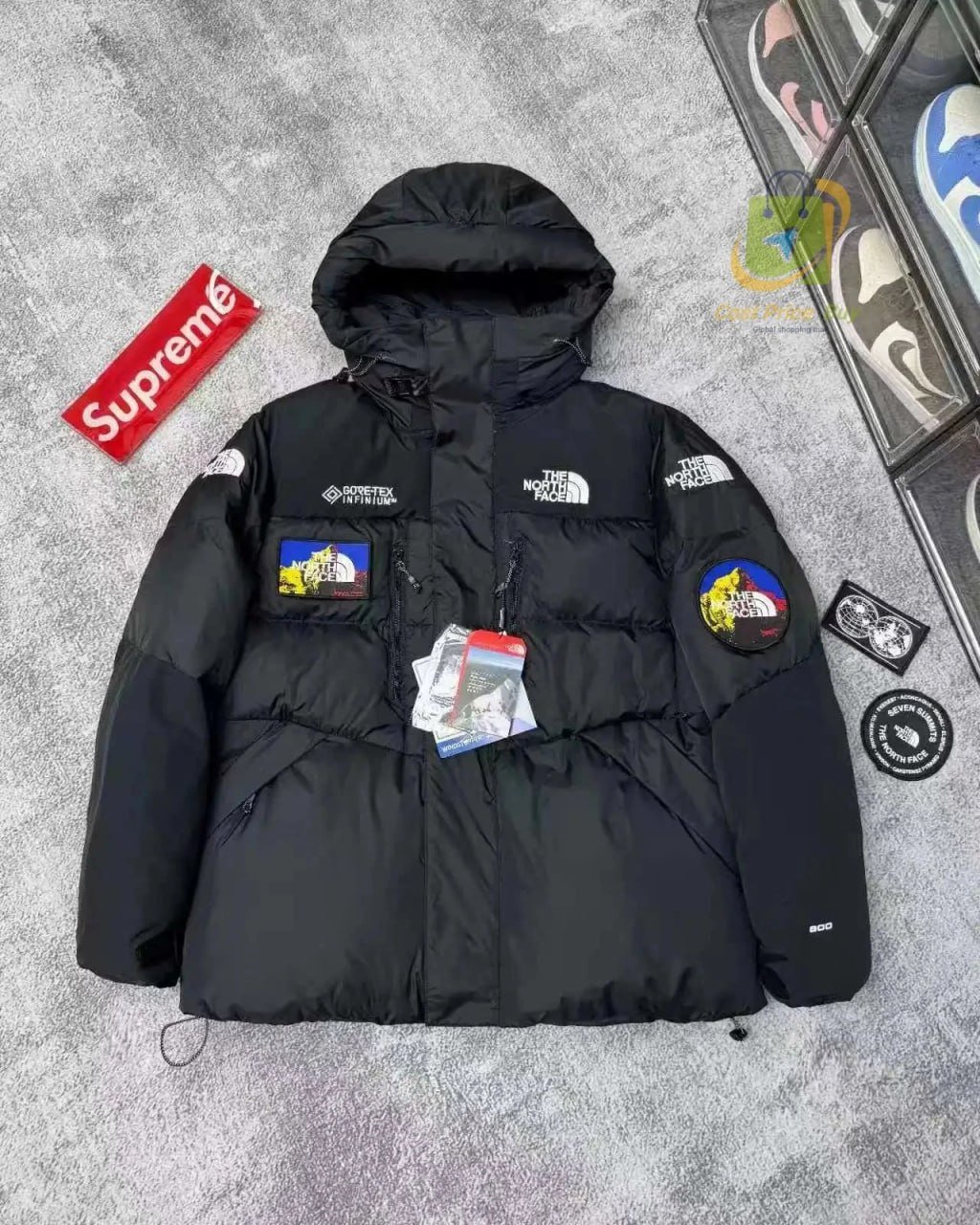 the north face down jacket
