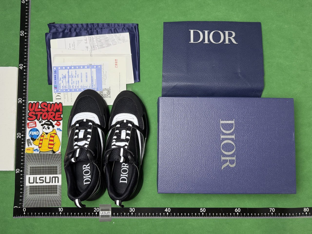 Dior B22 shoes