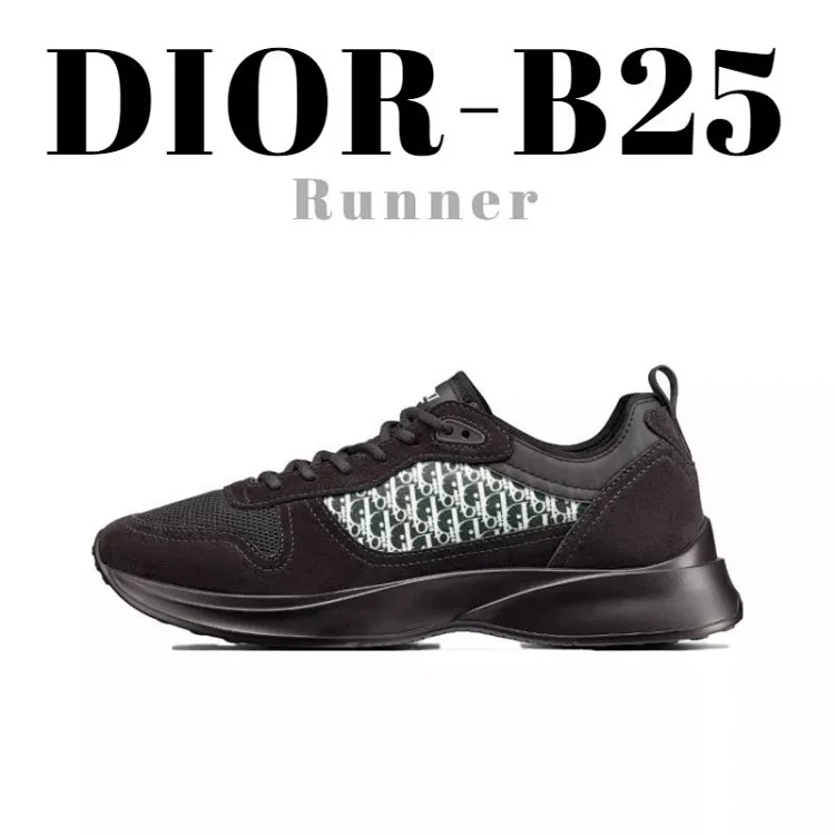 DIOR B25