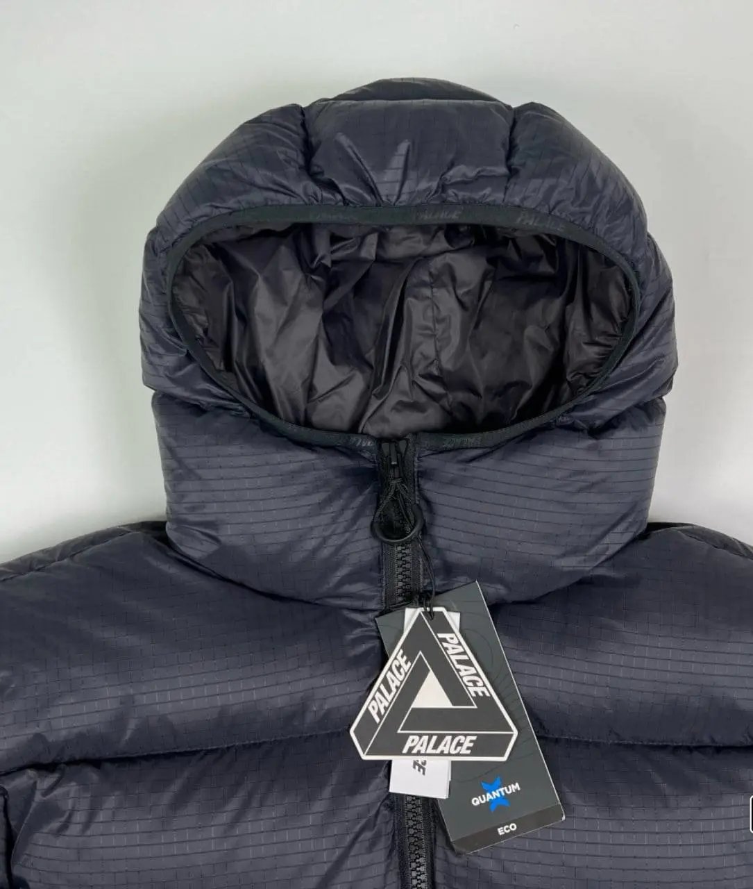 Palace Puffer