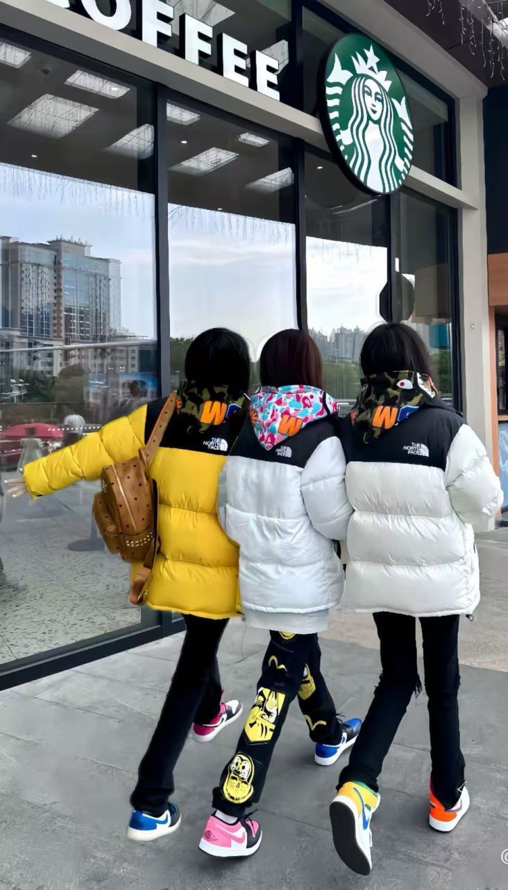 The North Face down jacket