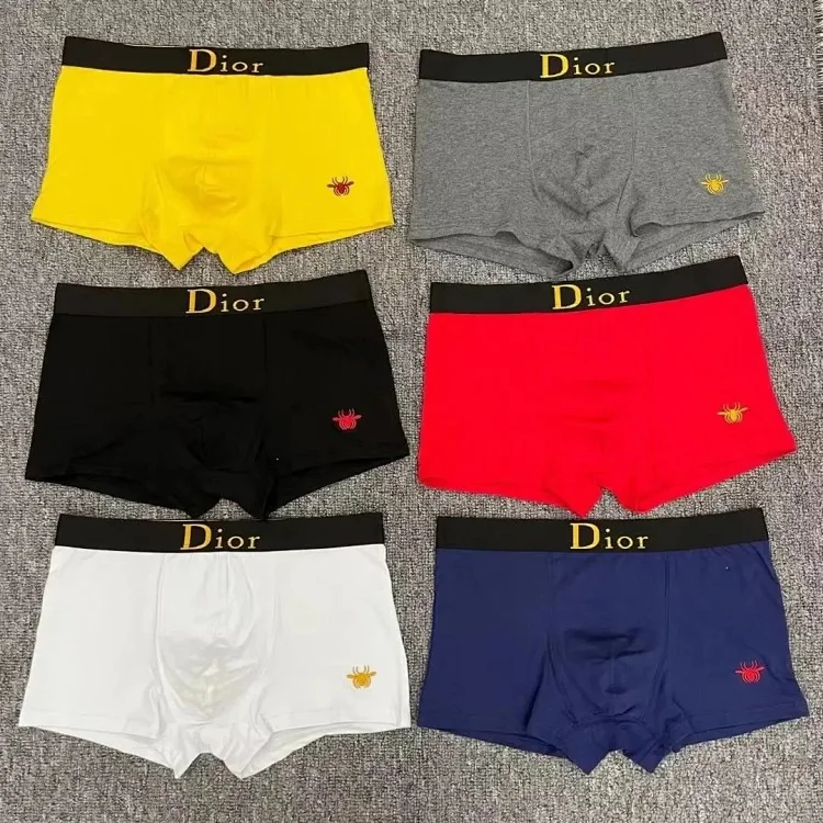 Dior Men's Underwear Boxer Briefs with Spider Logo  