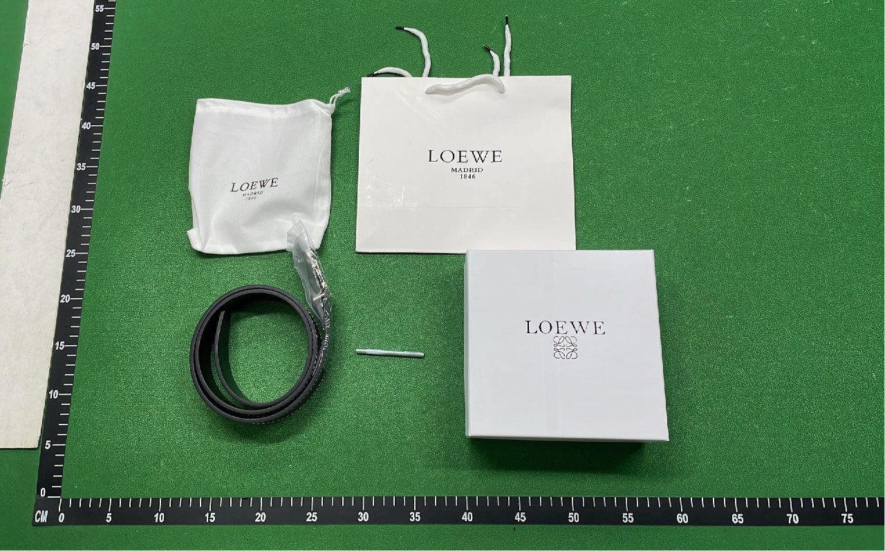 LOEWE Anagram Leather Belt in Multiple Colors